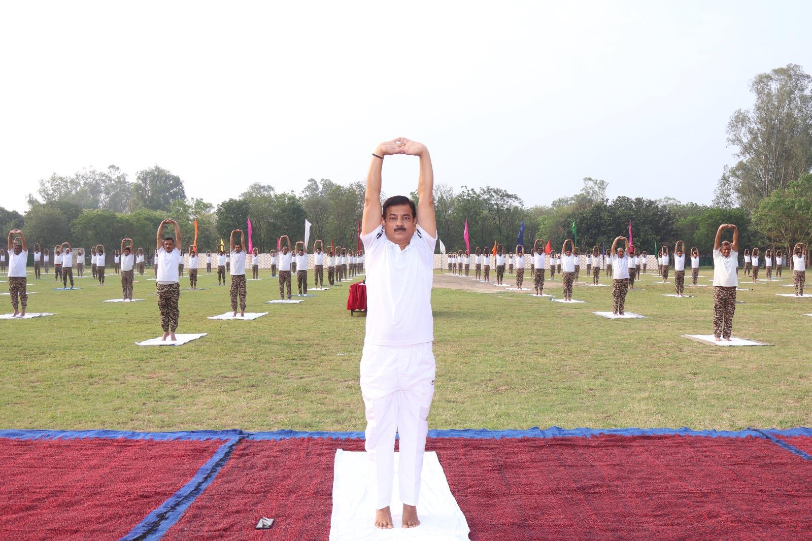 Yoga Activities on the day of Yoga Day